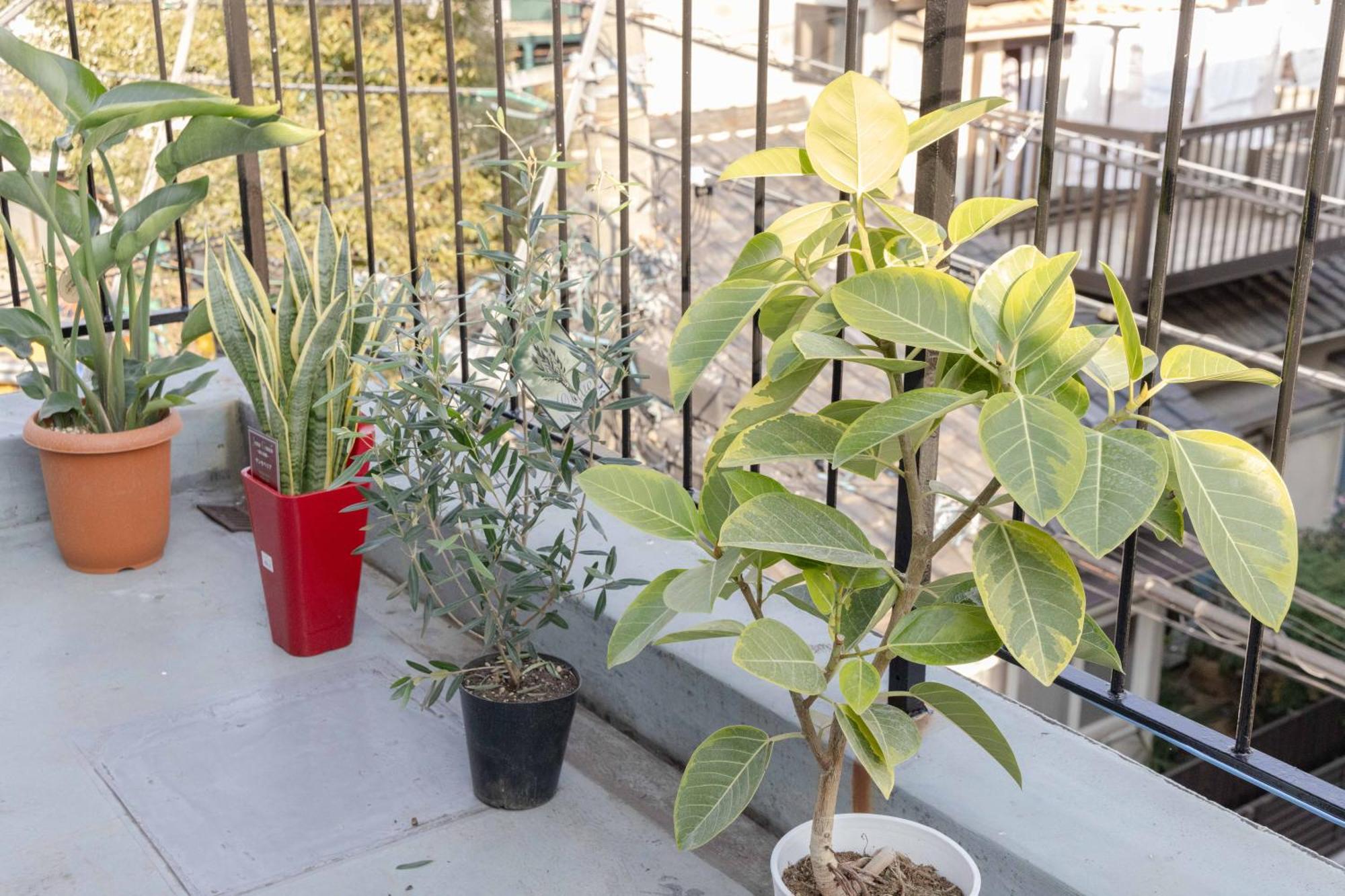 Buran House Apartment Токио Екстериор снимка